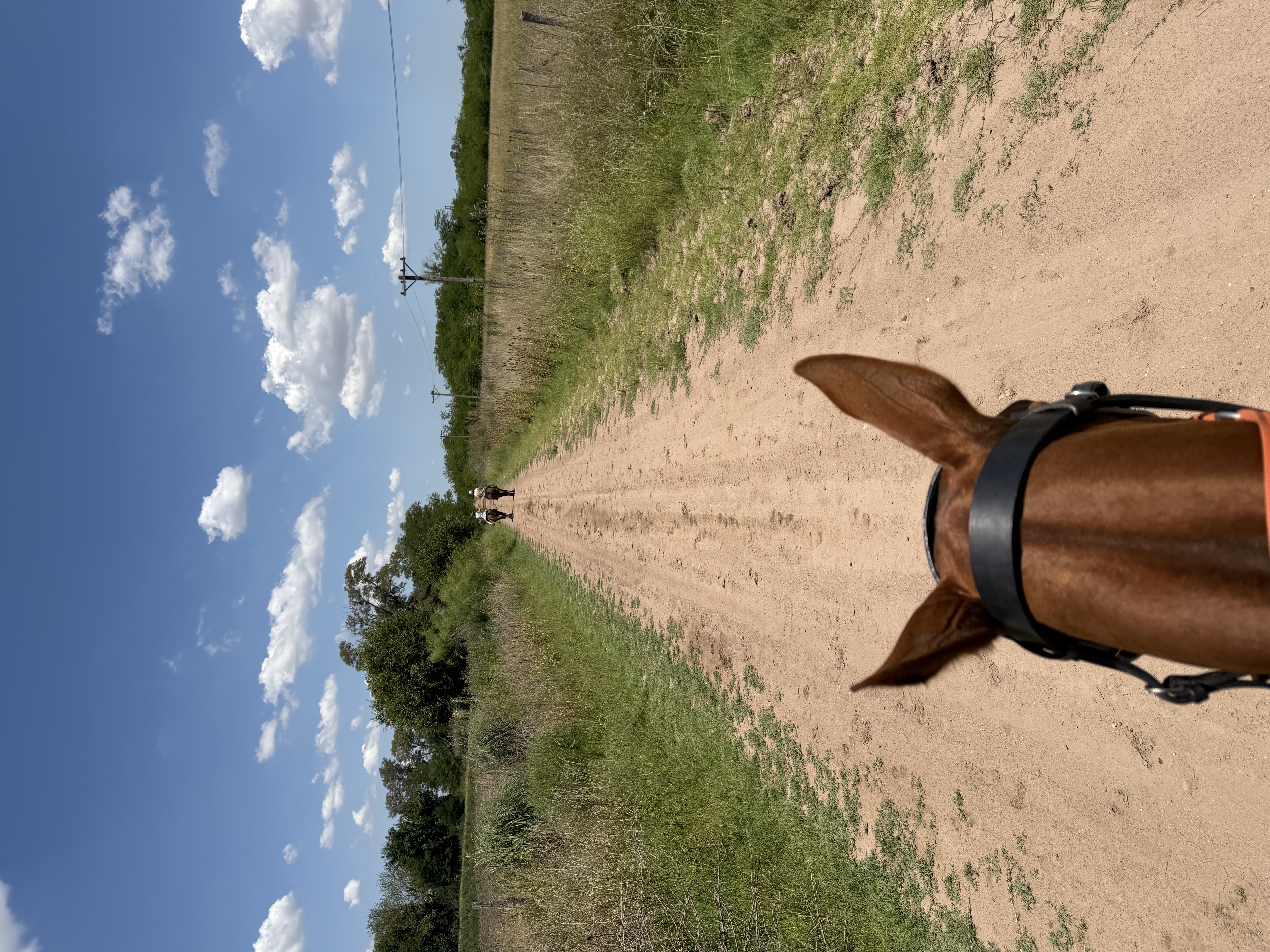 Foto de la experiencia