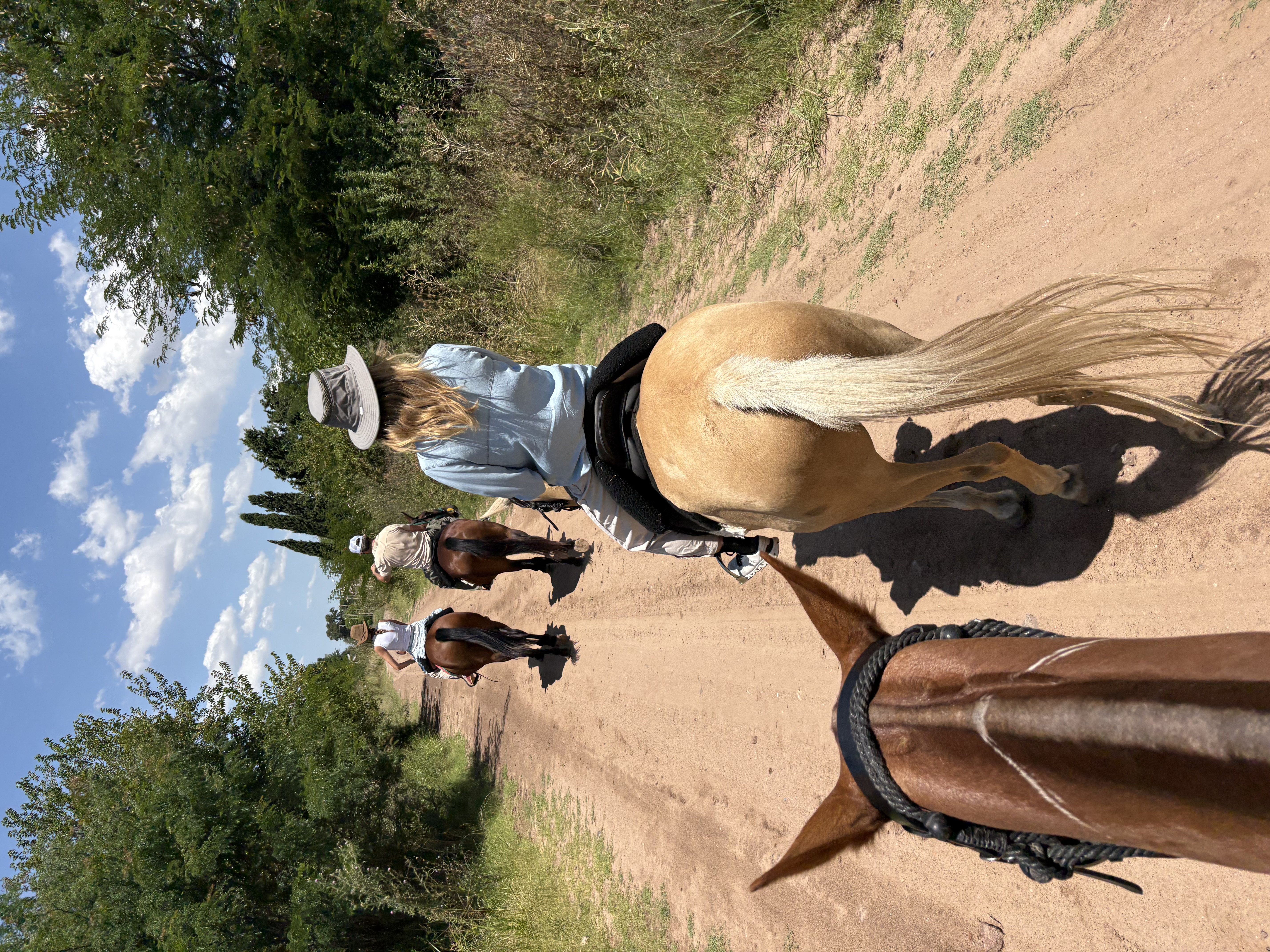 Foto de la experiencia